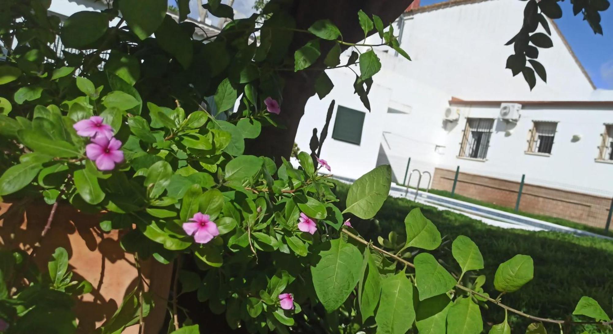Casa Turquesa Villa Valencina de la Concepcion Ngoại thất bức ảnh